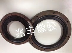Eccentric butterfly valve seal ring